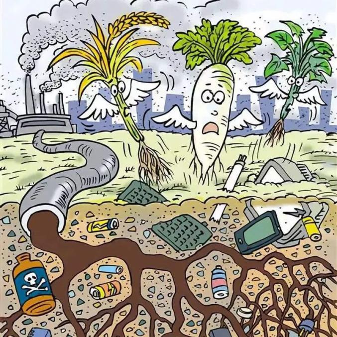 垃圾不分类的危害你了解吗？